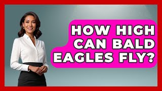 How High Can Bald Eagles Fly? - Bird Watching Diaries