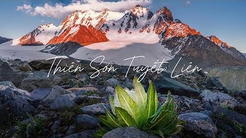 [Tân Cương] Thiên Sơn Tuyết Liên vua của các loài cây thân thảo