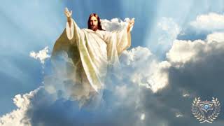 видео: Сила исцеляющая здесь и сейчас картинка: Сила исцеляющая здесь и сейчас