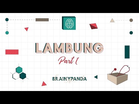 Sistem Pencernaan: Lambung | Ilmu Biomedik Dasar | Brainy Panda