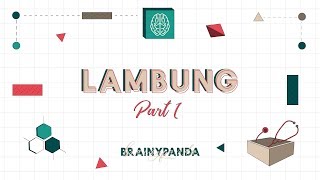 Sistem Pencernaan: Lambung | Ilmu Biomedik Dasar | Brainy Panda Sistem Pencernaan: Lambung | Ilmu Biomedik Dasar | Brainy Panda