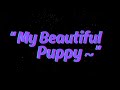 [Furry ASMR] Praising &amp; Pampering My Adorable Puppy~ [M4A]