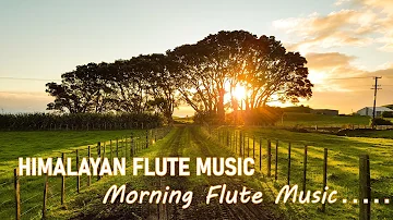 Morning Flute Music | Himalayan Flute Music | Meditation Music | (बाँसुरी) Aparmita Ep. 44