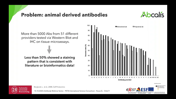 Application of animal-free antibodies