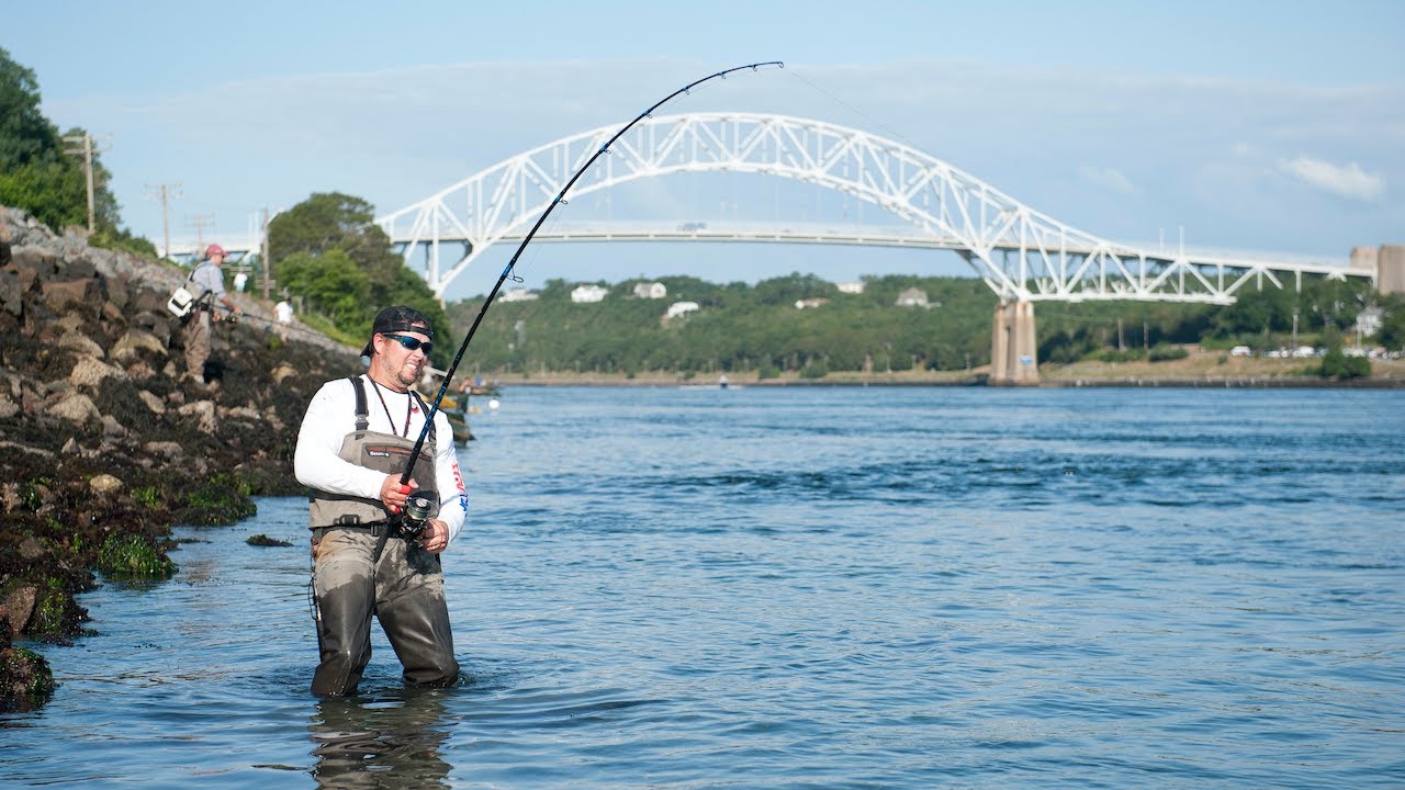 Fly Fishing the Cape Cod Canal - On The Water