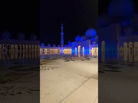 جامع جامع شيخ زايد           