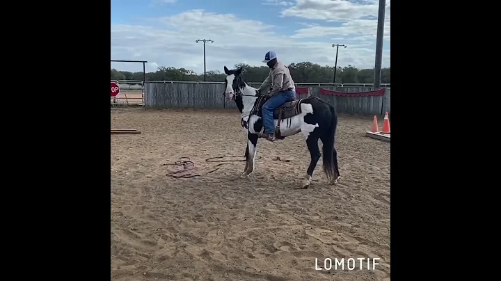 Horse training first ride Darrell Gardners Horsema...