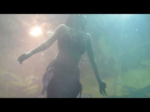 【人魚】『遭遇』上方水中映像祭り用