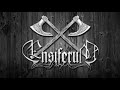 Ensiferum  unsung heroes  cover by anthony perrotta