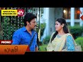 Lakshmi  promo  11 may 2024   new tamil serial  sun tv