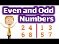 Even and Odd Numbers | 1st Grade and 2nd Grade Math Lessons