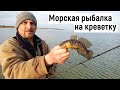 Ловля бычка на Черном море весной 2021 / SEA FISHING / Лазурное