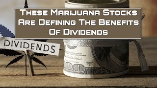 These Marijuana Stocks Are Defining The Benefits Of Dividends