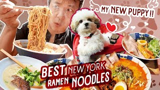 MUST TRY Japanese RAMEN NOODLES, Sizzling DUMPLINGS & Getting My FIRST PUPPY!