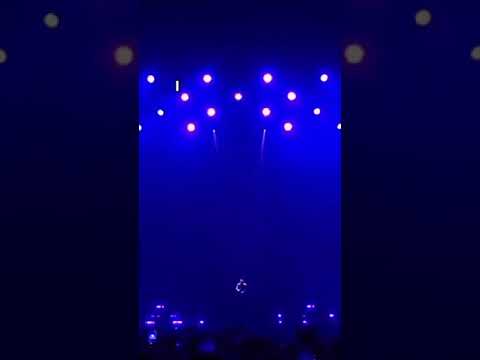 ⏪ to the tribute concert