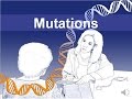 Mutation & DNA (updated)
