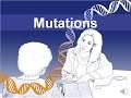 DNA Mutations and Their Effects