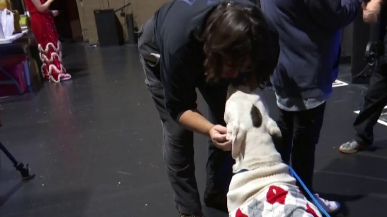 Abandoned dog found tied to a pole takes her final bow at the Berglund ...