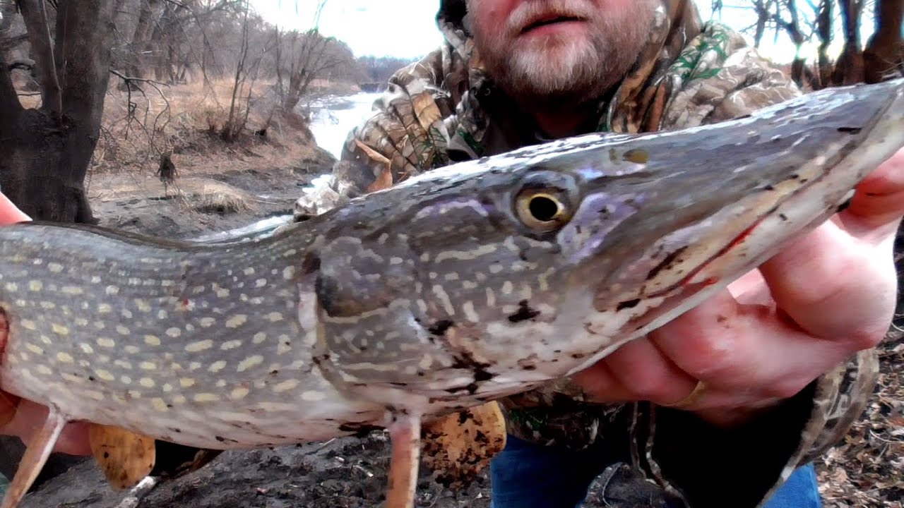 cotopaxi allpa 35l travel Pack – Campmor Colours:Bruiser Cotopaxi Clase Daypack 28L country train tours or Snook75