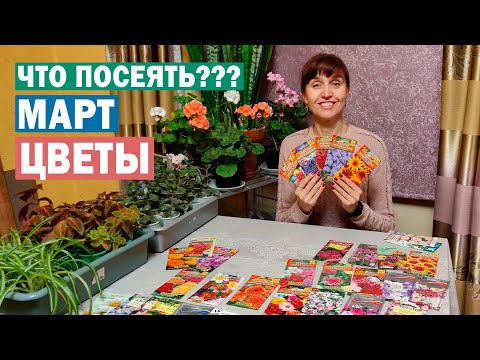 Какие цветы посеять в марте? Выбираем однолетники и многолетники