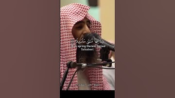 محمد اللحيدان عينا فيها تسمى سلسبيلا سورة الإنسان قران كريم بصوت جميل جدا