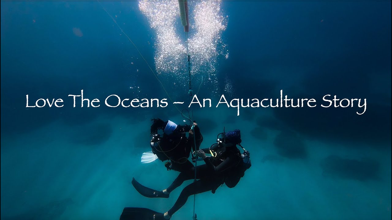 Love The Oceans - An Aquaculture Story