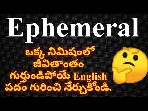 ephemeral antonym ephemeral antonym