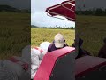 good rice in the garden.combine action today. #rice #automobile #farming #harvest #agriculture #farm