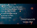 Dreamsounds Wave 89.1 l My kind of Music