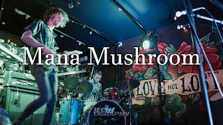 Mana Mushroom (Live 30/04/21)