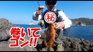 ロックショアゲームで誰でも簡単に釣れるダニエルヘッドロックが登場！