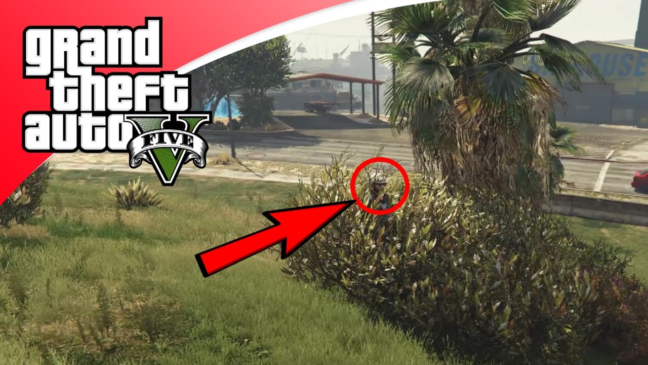 GTA V Hunting Game 5 DIT IS DE BESTE VERSTOP PLEK! (GTA 5 Online Hunting Game) YouTube