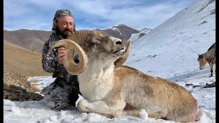TIAN SHAN MARCOPOLO. TROPHY HUNTING best CONSERVATION by Seladang