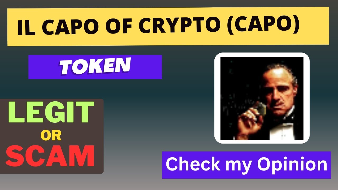 Is IL CAPO OF CRYPTO (CAPO) Token Legit or Scam ?? - YouTube