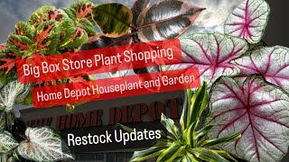 Big Box Store Plant Shopping Home Houseplants and Garden Plants Restock Updates Cheap Plants on Sale by Grow Folds 1,453 views 2 weeks ago 1 hour, 8 minutes