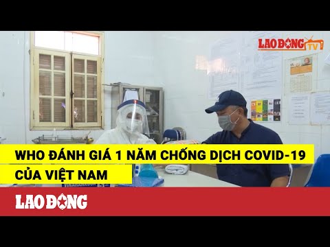 Video WHO đánh giá 1 năm chống dịch COVID-19 của Việt Nam - youtube
