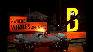 BloFin Whale's Rave: Arcadia in Dubai #TOKEN2049
