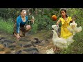 Catch fish &amp; chicken in flood forest\Cooking fish soup spicy with mushroom recipe +3food of survival