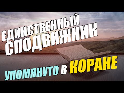 Единственный сподвижник, чьё имя упомянуто в Коране \\ Исламдаг.ру