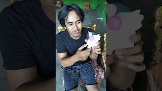 mama ada bebek aneh teman² #trending #lucu #bebeklucu