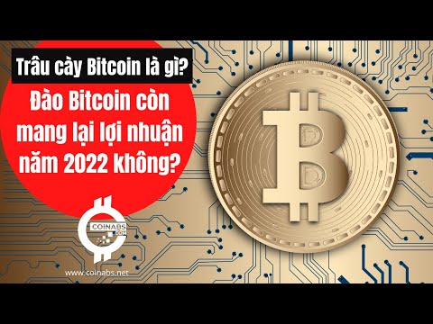 Video Trâu cày Bitcoin là gì? | Đào Bitcoin còn mang lại lợi... - youtube