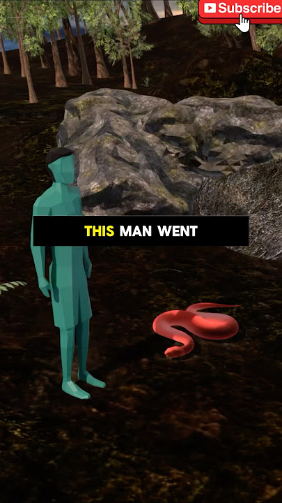 What would you have done…