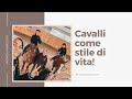 MF- Cavalli come stile di vita!