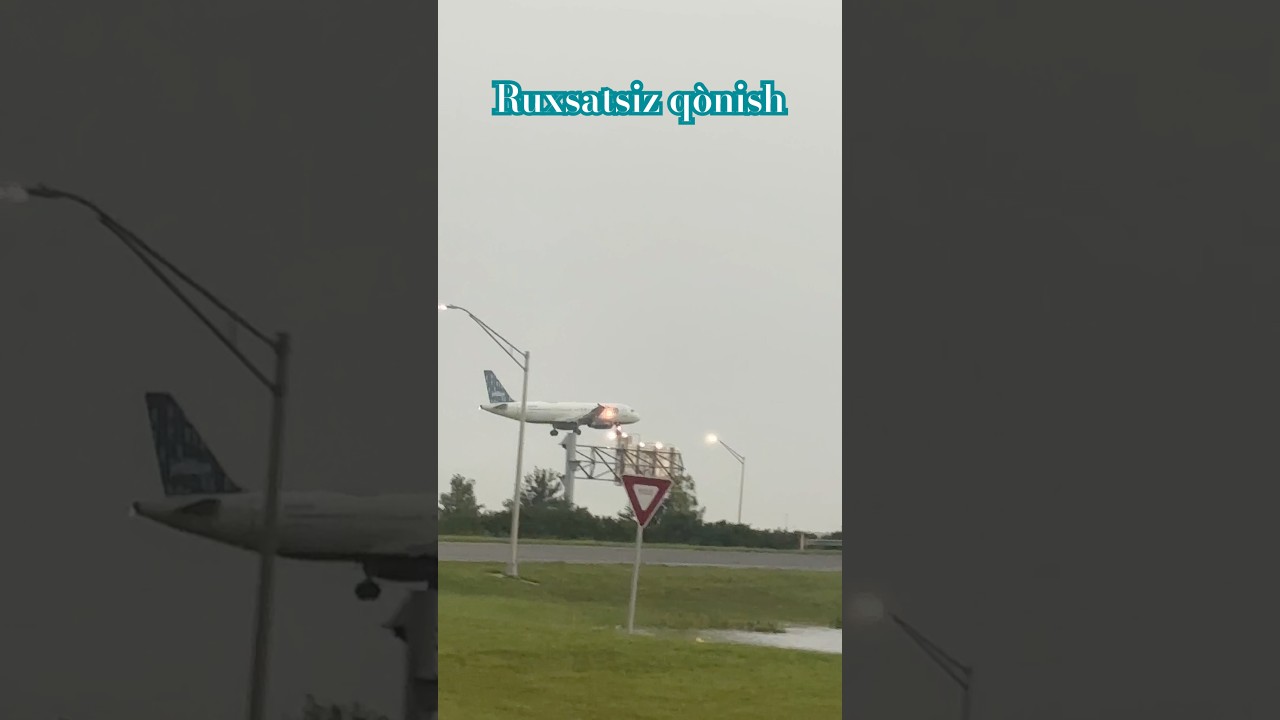 Ruxsatsiz qònish Samalyotni uchishi Florida 