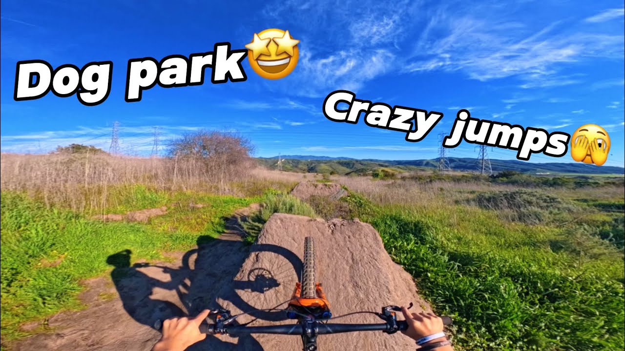 Sick day at dog park🤩 (insane jumps😱)