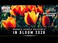 Markus schulz presents in bloom 2020