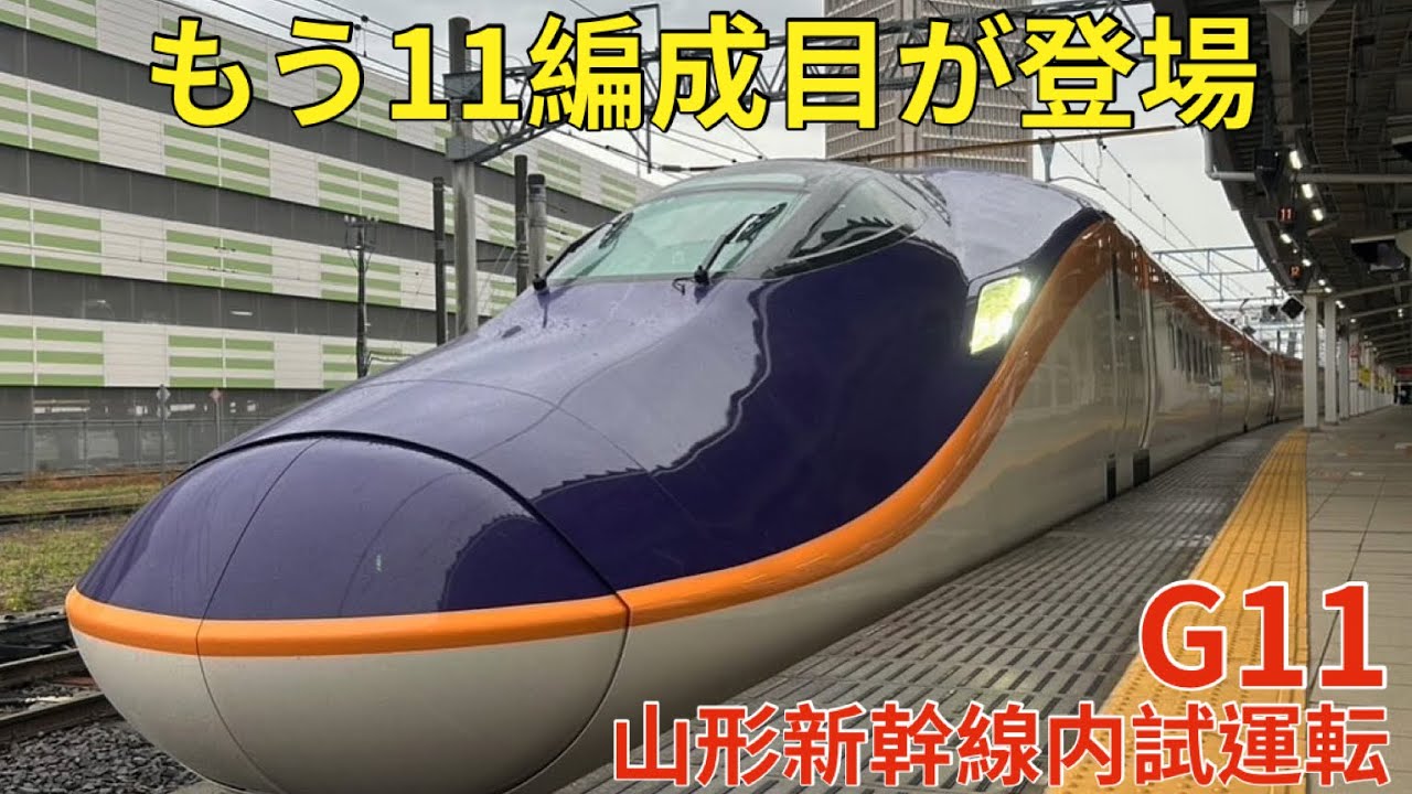 と*し様 最終値引き品　山採りダモニ幹 ダモ3 H190cm W250cm 最終値引き品 山採りダモニ幹 ダモ3 H190cm W250cm