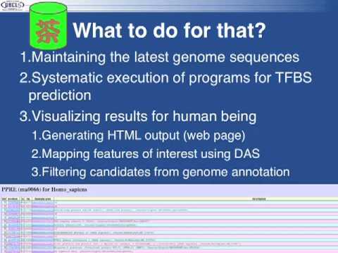 落ちこぼれ大学生が.DB（Doctor of the database）にいたるまで