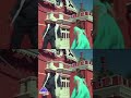 முத்தம் முகிலா | Kangalile Oru Video Song | Pistha Movie Songs | Karthik | Nagma | #ytshorts