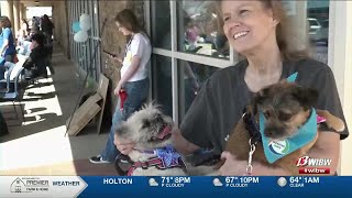 Paws in the Park invites pet-fueled fun to community